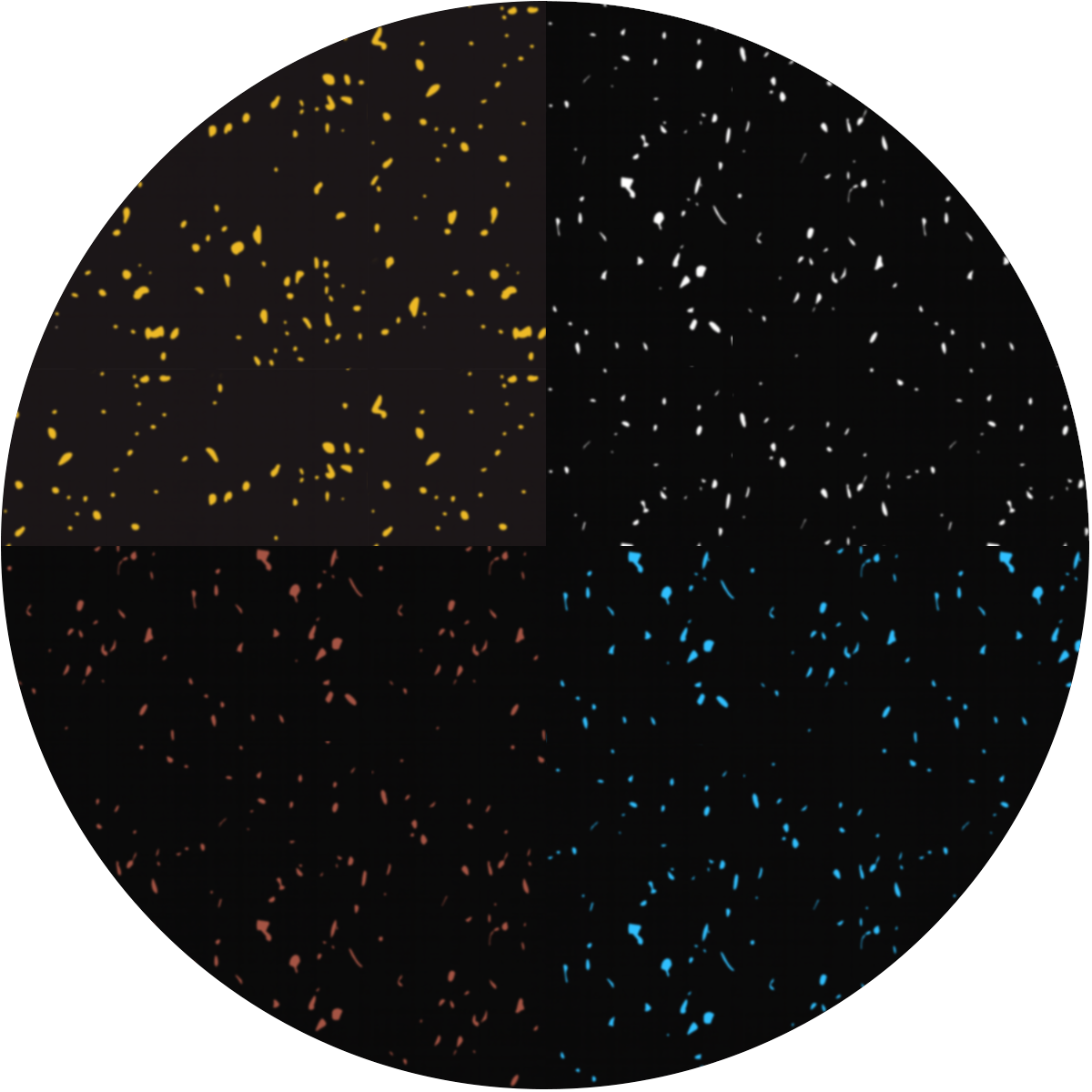 examples product image